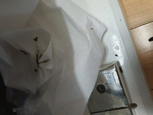 구리 하수구막힘 교문동 하수구막힘 아파트 주방 배수 점검 체크리스트